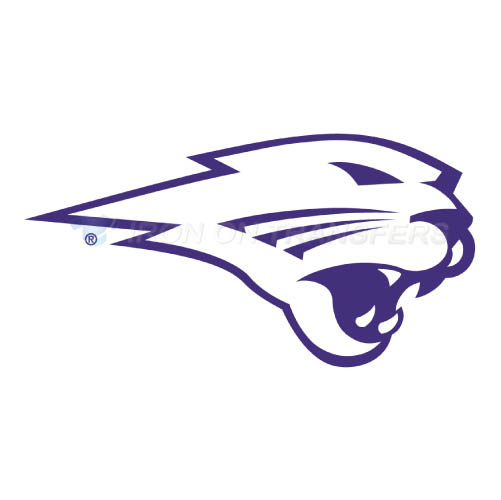 Northern Iowa Panthers Iron-on Stickers (Heat Transfers)NO.5670